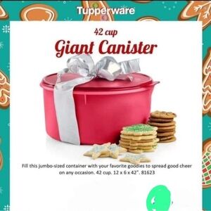 Tupperware Red Canister with Silver Accent